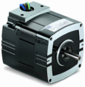 bodine 5219 30R2BECI