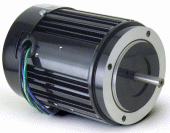 bodine N0261 42R3BFSI